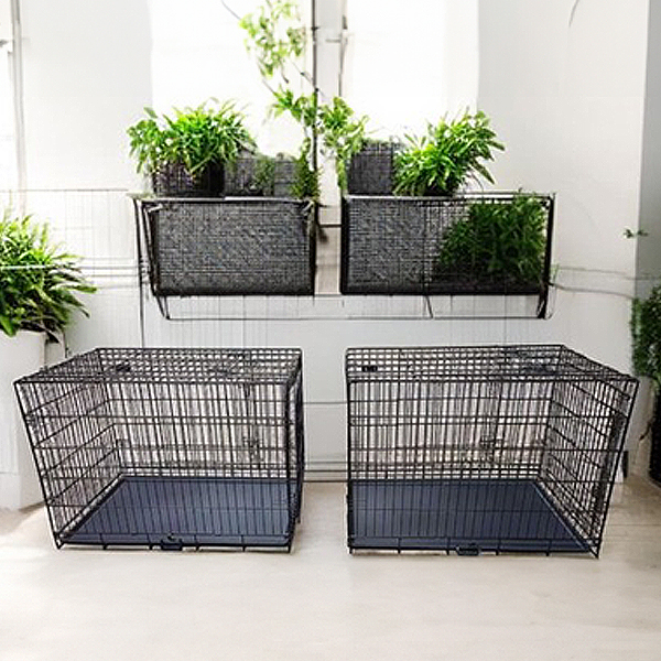 Tenacity Collapsible Dog Crates