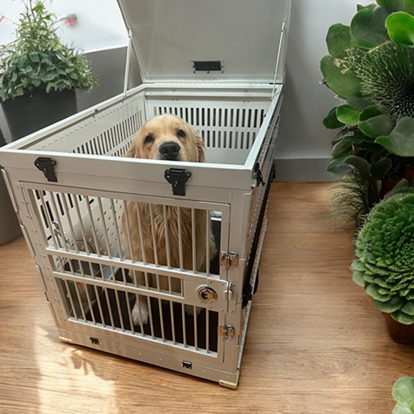 Tenacity Collapsible Dog Crates